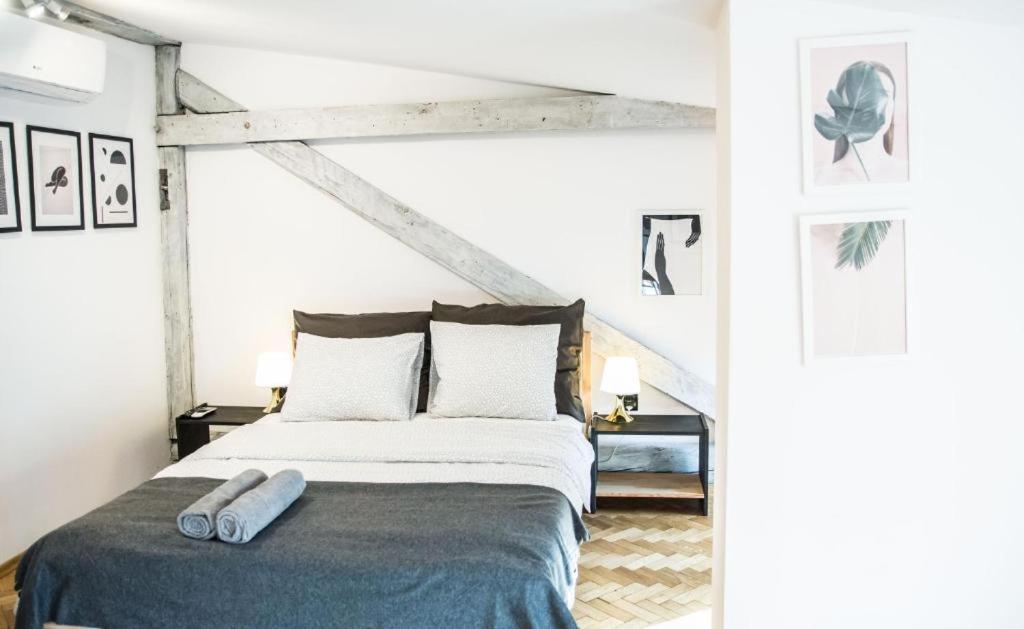 Lion Apartments - Silver Cracovie Extérieur photo